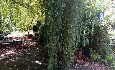 Illumbe-Goikoa en Usurbil (Guipuzcoa) - Foto 17