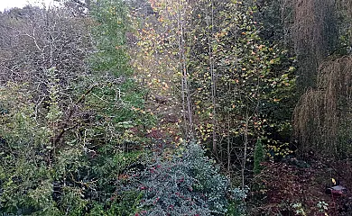 Illumbe-Goikoa en Usurbil (Guipuzcoa) - Foto 20