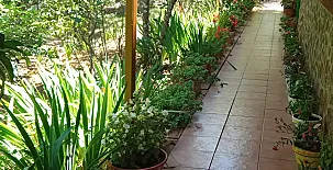 La Casa Mágica de Gredos 0034