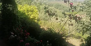 La Casa Mágica de Gredos 0040