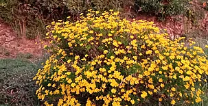 La Casa Mágica de Gredos 0043