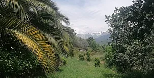 La Casa Mágica de Gredos 0049