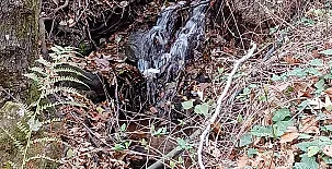 La Casa Mágica de Gredos 0050