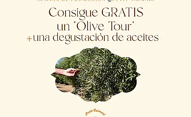 Petit Caimarí en Caimari (Baleares) - Foto 23