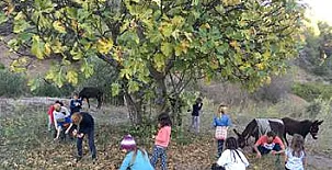 Casa Rural La Canal 0021