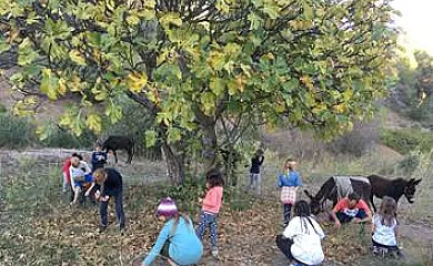 Casa Rural La Canal en Cabacés (Tarragona) - Foto 21