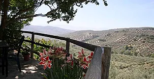 Los Caracolillos 004