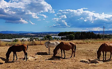 La Cria de Caldes en Caldes de Montbui (Barcelona) - Foto 11