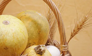 Posada La Gatera en Pedro Bernardo (Ávila) - Foto 8