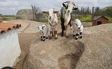 Finca-Granja El Chaparral en Orgaz (Toledo) - Foto 1