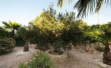 Cinco Soles Rural en Fenazar (Murcia) - Foto 5