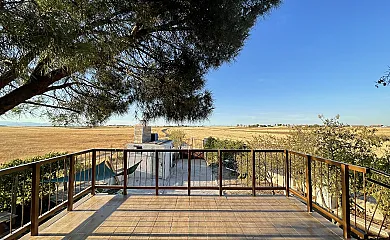 Finca Independiente “3 Montes” Madrid en Fuensalida (Toledo) - Foto 4