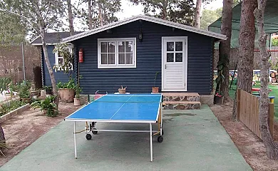 Casa Rural Mi Campo en Molina de Segura (Murcia) - Foto 13