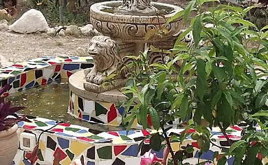 Casa Rural Mi Campo en Molina de Segura (Murcia) - Foto 15