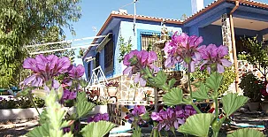 Casa Rural Mi Campo 0016