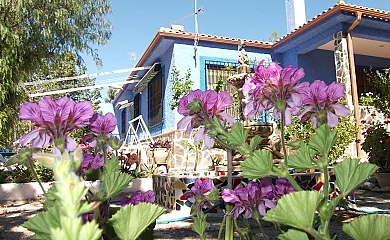 Casa Rural Mi Campo en Molina de Segura (Murcia) - Foto 16