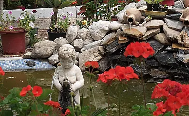 Casa Rural Mi Campo en Molina de Segura (Murcia) - Foto 17