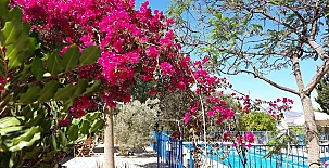 Casa Rural Mi Campo 0023