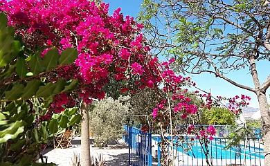 Casa Rural Mi Campo en Molina de Segura (Murcia) - Foto 23