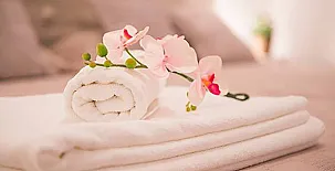 Alojamientos Callejón del Pozo cerca de Puy du Fou 008