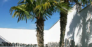 Alojamientos Callejón del Pozo cerca de Puy du Fou 009