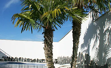 Alojamientos Callejón del Pozo cerca de Puy du Fou en Gálvez (Toledo) - Foto 9