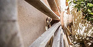 Alojamientos Callejón del Pozo cerca de Puy du Fou 0020