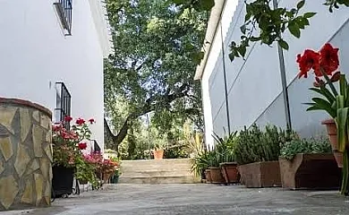 Cortijo Rural Puerto Nuevo en Archidona (Málaga) - Foto 14