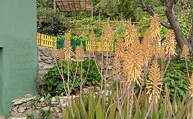 Casa Las Alberquillas en El Real de San Vicente (Toledo) - Foto 21