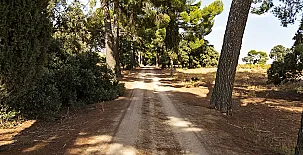 Casa Rural Monte Higueras 0018