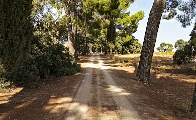 Casa Rural Monte Higueras en Corral de Almaguer (Toledo) - Foto 18