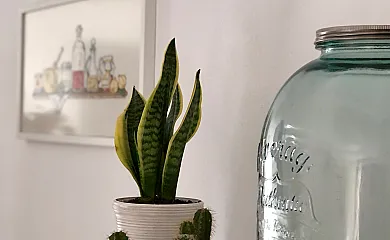 La Casa dels Peixos en La Baronia de Rialb (Lleida) - Foto 22