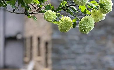 La Casa dels Peixos en La Baronia de Rialb (Lleida) - Foto 13