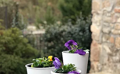 La Casa dels Peixos en La Baronia de Rialb (Lleida) - Foto 20