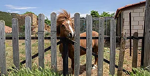 Castellar de Taniñe 0019