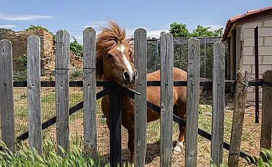 Castellar de Taniñe en Taniñe (Soria) - Foto 19