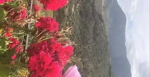 Casa Rural La Chumberita 008