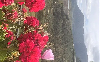 Casa Rural La Chumberita en Zahara de la Sierra (Cádiz) - Foto 8
