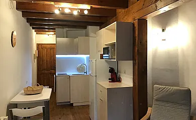 La Caseta Boí Taüll en Pla de L´ermita (Lleida) - Foto 7