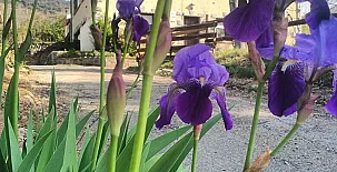 Casa Rural Baltasar 005