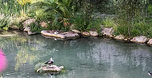 Casa Tío Salvador 0027