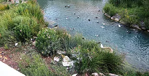 Casa Tío Salvador 0028