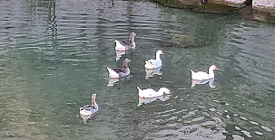 Casa Tío Salvador 0030