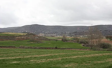 Casa Rural La Alcarria en Canalejas Del Arroyo (Cuenca) - Foto 19