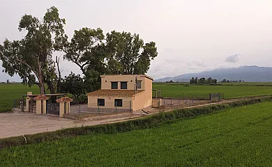 Lo Maset de Laura en Amposta (Tarragona) - Foto 3