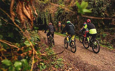 Casas Rurales Acebuche en Casas Del Monte (Cáceres) - Foto 7