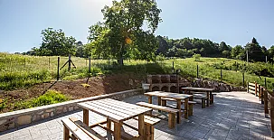 Fuente El Güeyu 005