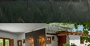 Los Diezmos de Patones 003