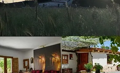 Los Diezmos de Patones en Torremocha de Jarama (Madrid) - Foto 3