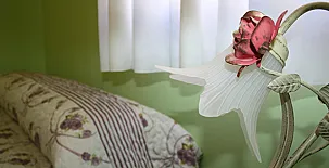 El Balcón del Tajuña 007